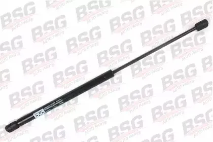 bsg-bsg30980013
